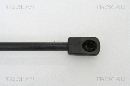 Gas Spring, boot/cargo area