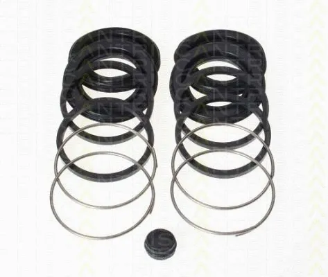 Repair Kit, brake caliper (8170 204015)