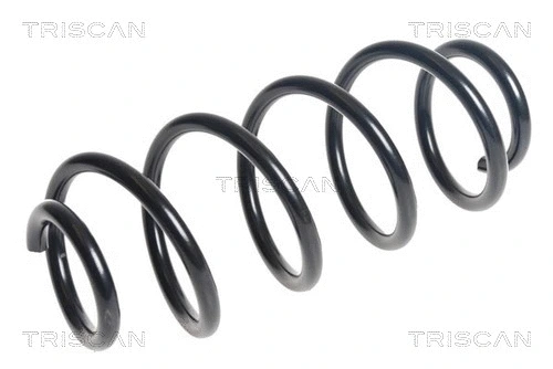 Suspension Spring (8750 23230)