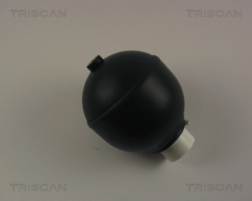 Pressure Accumulator, pneumatic suspension (8760 38216)