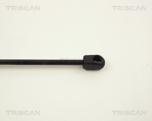 Gas Spring, boot/cargo area