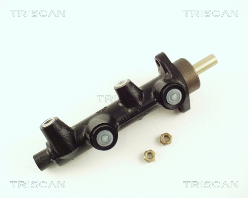 Brake Master Cylinder (8130 24128)