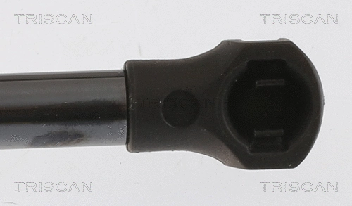 Gas Spring, bonnet