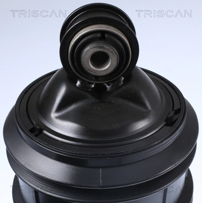 Air Spring, suspension