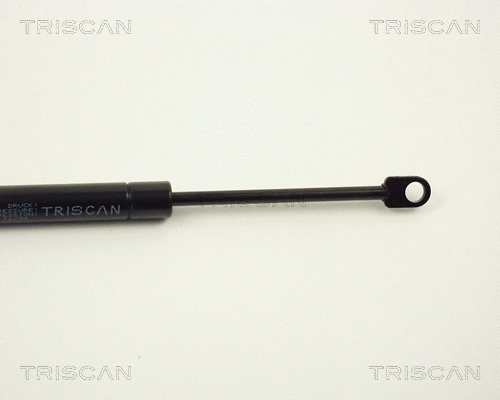 Gas Spring, boot/cargo area