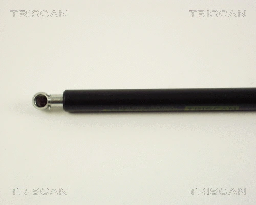 Gas Spring, boot/cargo area