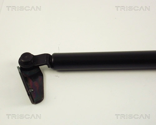 Gas Spring, boot/cargo area