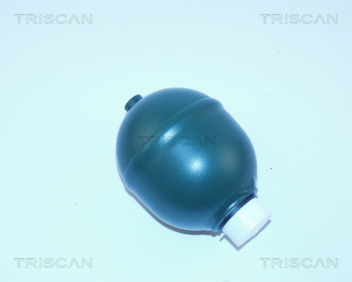 Pressure Accumulator, pneumatic suspension (8760 38104)