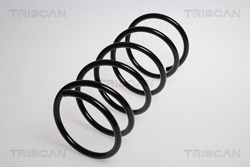 Suspension Spring (8750 28316)