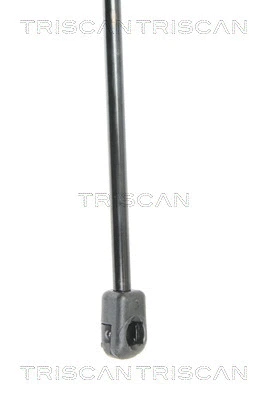 Gas Spring, boot/cargo area