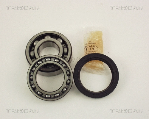Wheel Bearing Kit (8530 10003)