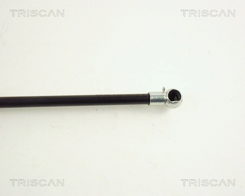 Gas Spring, boot/cargo area