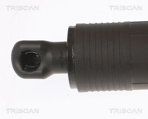 Gas Spring, boot/cargo area