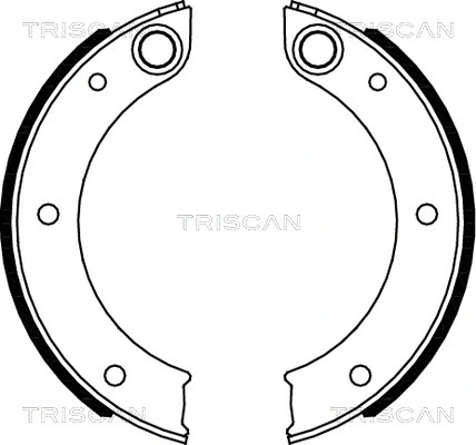 Brake Shoe Set, parking brake (8100 20003)