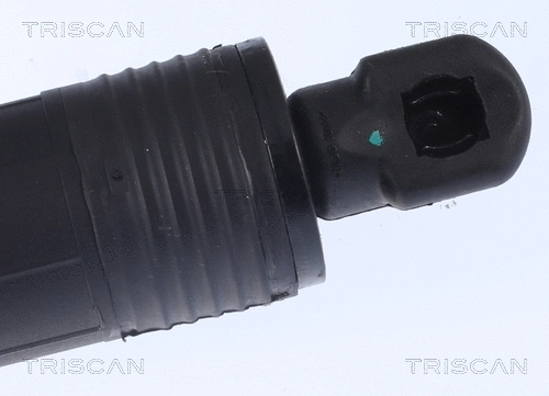 Gas Spring, boot/cargo area