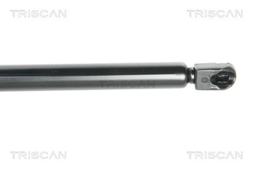 Gas Spring, boot/cargo area