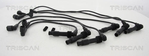 Ignition Cable Kit (8860 2498)