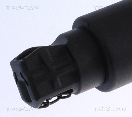 Gas Spring, boot/cargo area