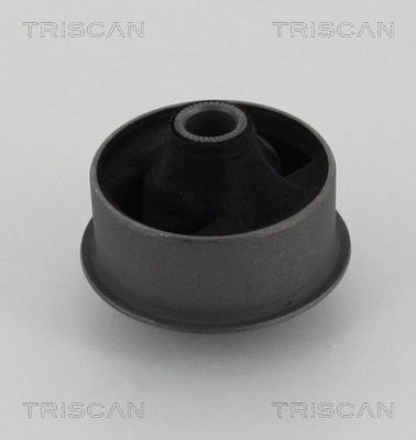 Mounting, control/trailing arm (8500 13834)