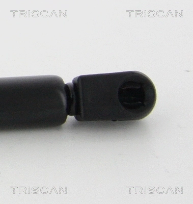 Gas Spring, boot/cargo area