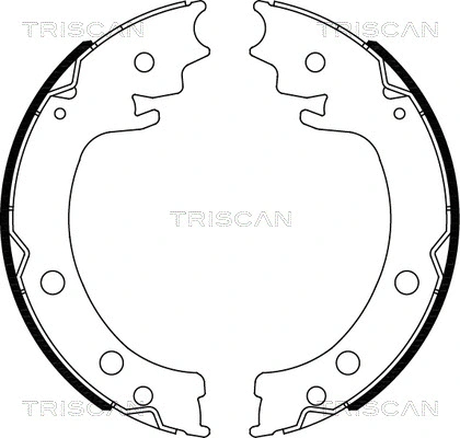 Brake Shoe Set, parking brake (8100 69006)