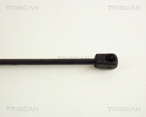 Gas Spring, boot/cargo area