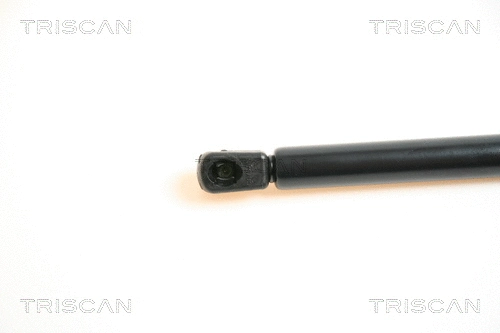 Gas Spring, boot/cargo area