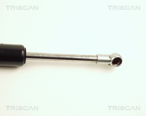 Gas Spring, boot/cargo area