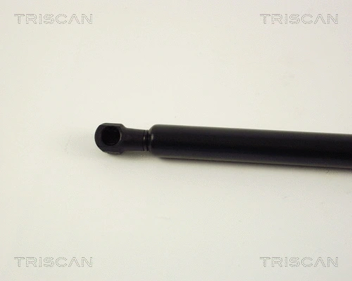 Gas Spring, boot/cargo area
