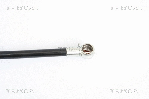 Gas Spring, boot/cargo area