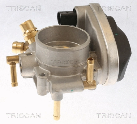 Throttle Body (8820 24001)