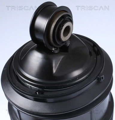 Air Spring, suspension