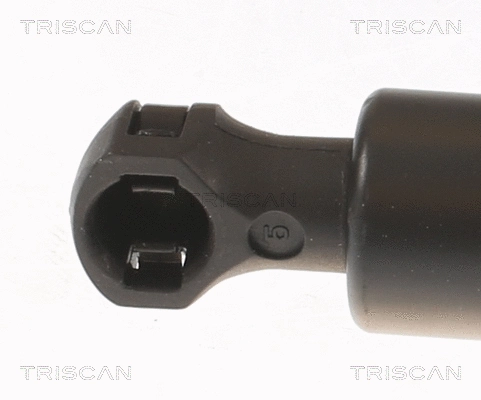 Gas Spring, bonnet