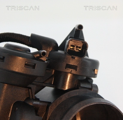 EGR Valve