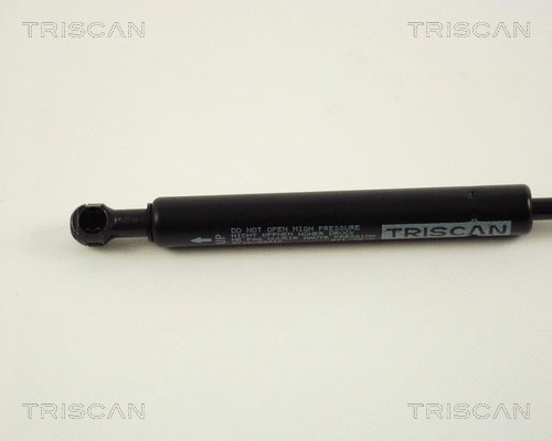 Gas Spring, boot/cargo area