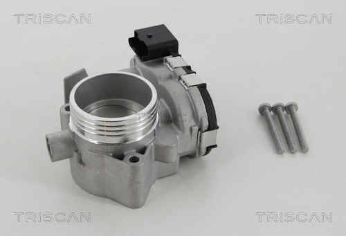 Throttle Body (8820 10002)