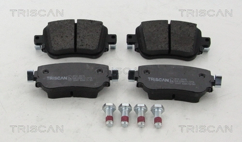 Brake Pad Set, disc brake (8110 29176)