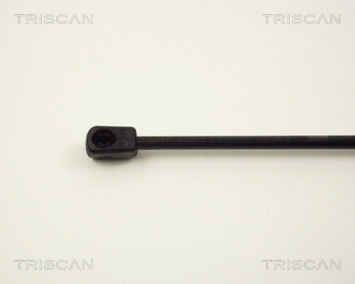 Gas Spring, boot/cargo area