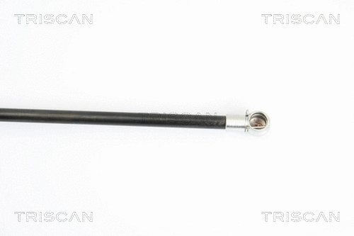 Gas Spring, boot/cargo area