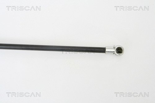 Gas Spring, boot/cargo area
