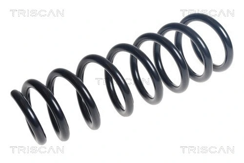 Suspension Spring (8750 11237)