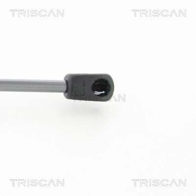 Gas Spring, boot/cargo area