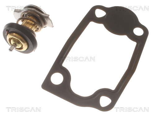Thermostat, coolant (8620 54679)