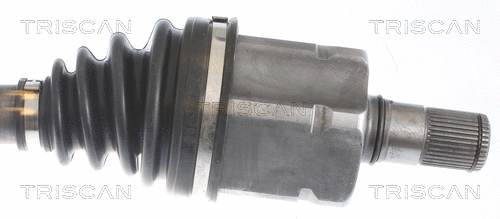 Drive Shaft