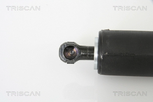Gas Spring, boot/cargo area