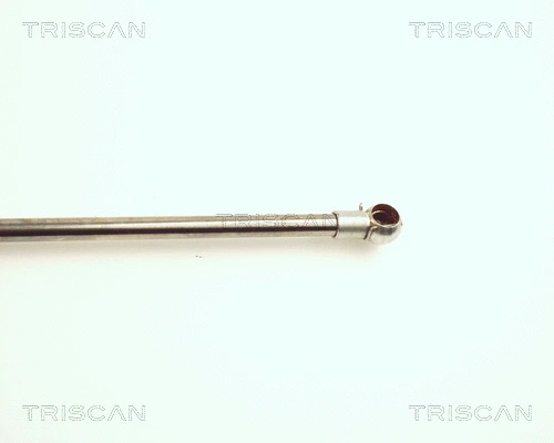 Gas Spring, boot/cargo area