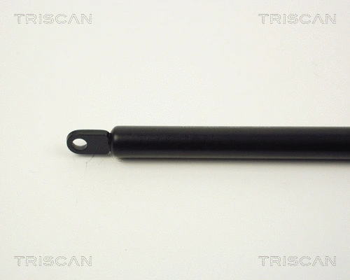 Gas Spring, bonnet