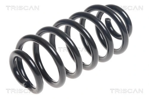 Suspension Spring (8750 24200)