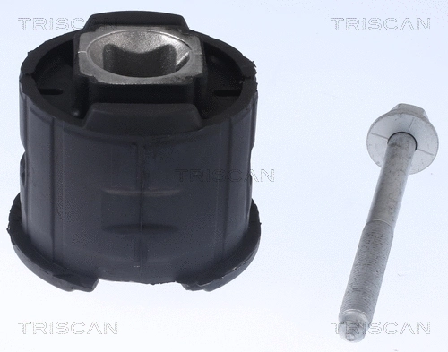 Bushing, axle beam (8500 118022)