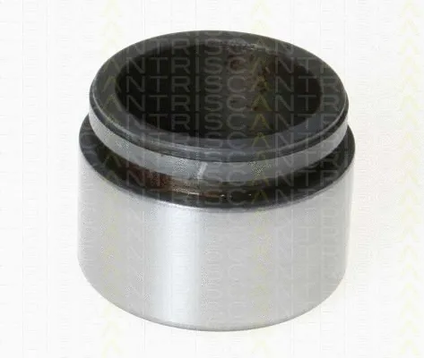 Piston, brake caliper (8170 234226)